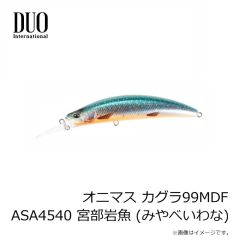 デュオ　オニマス カグラ88S ANA4542 一閃山女 (いっせんやまめ)