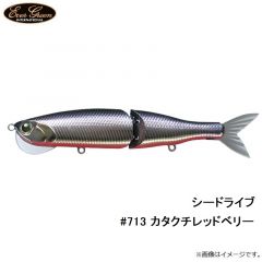 エバーグリーン　シードライブ #713 カタクチレッドベリー