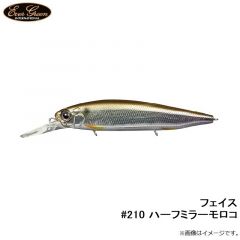 エバーグリーン　フェイス #210 ハーフミラーモロコ