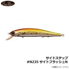 エバーグリーン　サイドステップ #N235 サイトフラッシュN