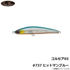 エバーグリーン　コルセア65 #59 スケルトンチャート