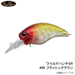 エバーグリーン　ワイルドハンチSR #66 フラッシュクラウン