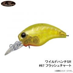 エバーグリーン　ワイルドハンチSR #67 フラッシュチャート