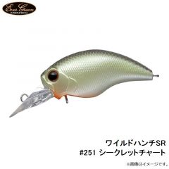 エバーグリーン　ワイルドハンチSR #251 シークレットチャート