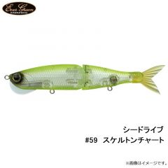 エバーグリーン　シードライブ #59  スケルトンチャート