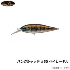 エバーグリーン　バンクシャッド #50 ベイビーギル
