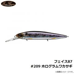 エバーグリーン　フェイス87 #209 ホログラムワカサギ