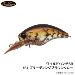 エバーグリーン　ワイルドハンチSR #81 ブリーディングブラウンクロー