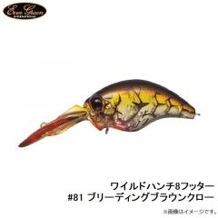 エバーグリーン    ワイルドハンチ8フッター #81 ブリーディングブラウンクロー