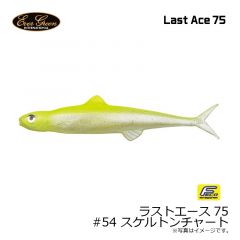 エバーグリーン　ラストエース75 #54 スケルトンチャート