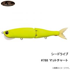 エバーグリーン　シードライブ #788 マットチャート