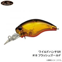 エバーグリーン　ワイルドハンチSR #18 フラッシュゴールド
