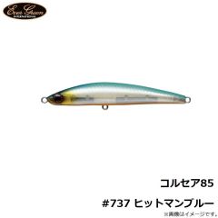 エバーグリーン　コルセア85 #602 ビッグバイトチャート