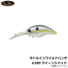 エバーグリーン　ラトルインワイルドハンチ #252 シークレットライム