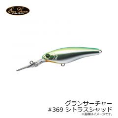エバーグリーン　グランサーチャー　#25 キンクロ