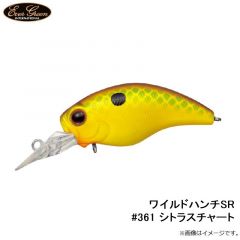 エバーグリーン　ワイルドハンチSR #361 シトラスチャート