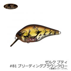 エバーグリーン　ゼルク プティ　#66 フラッシュクラウン