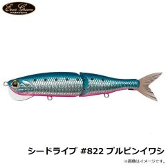 エバーグリーン　シードライブ #822 ブルピンイワシ