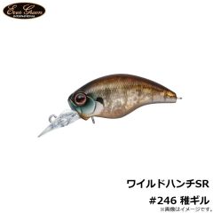 エバーグリーン    ワイルドハンチSR #246 稚ギル