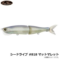 エバーグリーン　シードライブ #818 マットマレット