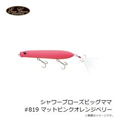 エバーグリーン　シャワーブローズビッグママ #819 マットPKORベリー