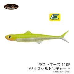 エバーグリーン　ラストエース110F #54 スケルトンチャート