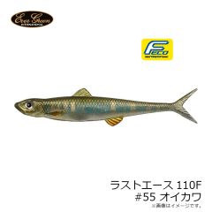 エバーグリーン　ラストエース110F #55 オイカワ