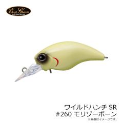 エバーグリーン ワイルドハンチSR #260 モリゾーボーン 