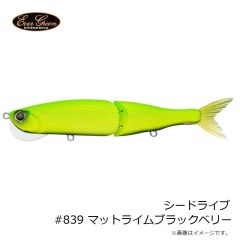 エバーグリーン　シードライブ #857 レッドヘッドソリッドパール