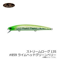 エバーグリーン　ストリームローグ135 #602 ビッグバイトチャート