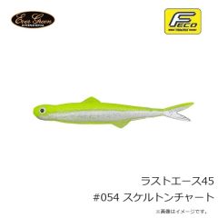 エバーグリーン　ラストエース45 #054 スケルトンチャート