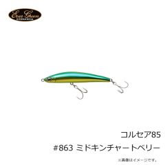 エバーグリーン　エギ番長 船イカSP 2.5号 #0713RBK レッドヘッド赤黒