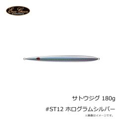 エバーグリーン　サトウジグ 180g #ST12 ホログラムシルバー