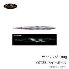 エバーグリーン　サトウジグ 180g #ST25 ベイトボール
