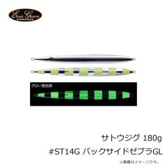 エバーグリーン　サトウジグ 180g #ST14G バックサイドゼブラGL