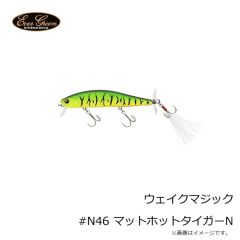 エバーグリーン　ウェイクマジック #27 アユ