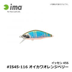 アムズデザイン　イッセン45S #IS45-116 オイカワオレンジベリー