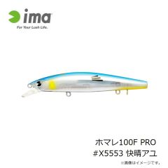 アムズデザイン　ホマレ100F PRO #X5553 快晴アユ