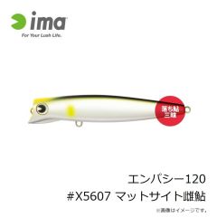 アムズデザイン　エンパシー120 #X5607 マットサイト雌鮎