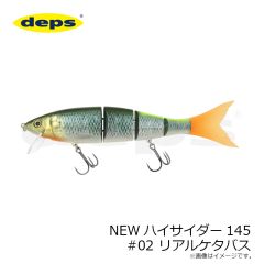 デプス　NEWハイサイダー145 #02 リアルケタバス