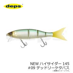 デプス　NEWハイサイダー145 #09 デッドリーケタバス