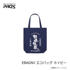 ポジドライブガレージ ピクセル33S タイプ1 #11 ライムバックGP
