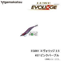 がまかつ　EG001 エヴォリッジ 2.5 #37 ピンクパープル