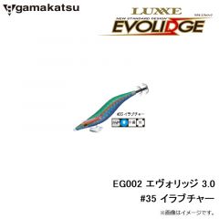 がまかつ　EG002 エヴォリッジ 3.0 #35 イラブチャー