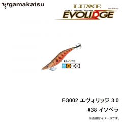 がまかつ　EG002 エヴォリッジ 3.0 #38 イソベラ