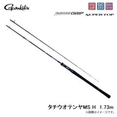 タチウオテンヤMS H  1.73m
