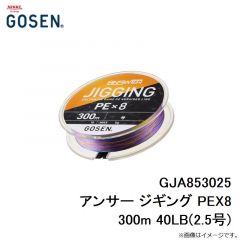 GJA853025 アンサー ジギング PEX8 300m 40LB(2.5号)
