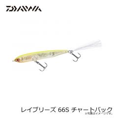 ダイワ　レイブリーズ 66S チャートバック