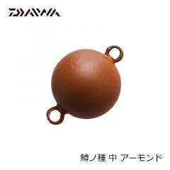 ダイワ　鱒ノ種 中 アーモンド