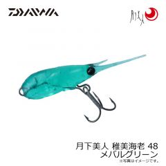 月下美人 稚美海老 48 アミチラシ
